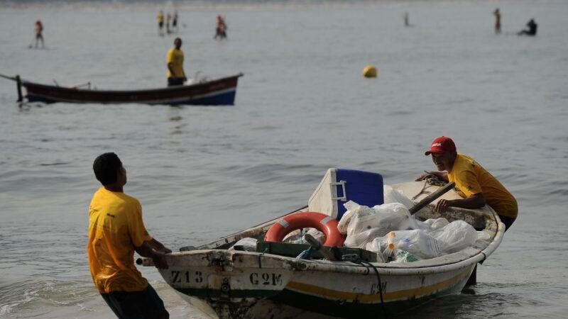 Mutirão de ativistas abre festival sobre oceanos em São Paulo