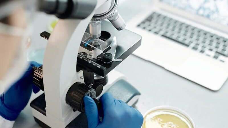 Segurança em laboratórios: regras que salvam vidas 