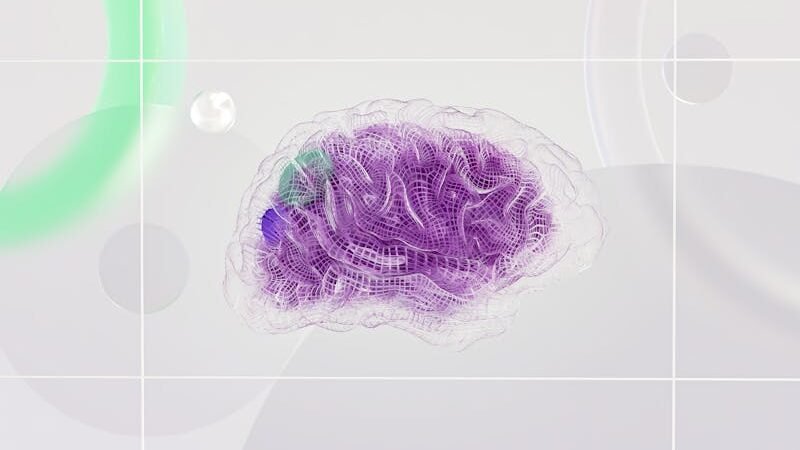 Nueva Era de la Gestión Empresarial: La IA incorporada al ERP impulsa la evolución de Oracle NetSuite en la nube