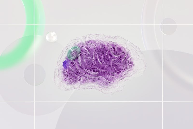 Nueva Era de la Gestión Empresarial: La IA incorporada al ERP impulsa la evolución de Oracle NetSuite en la nube